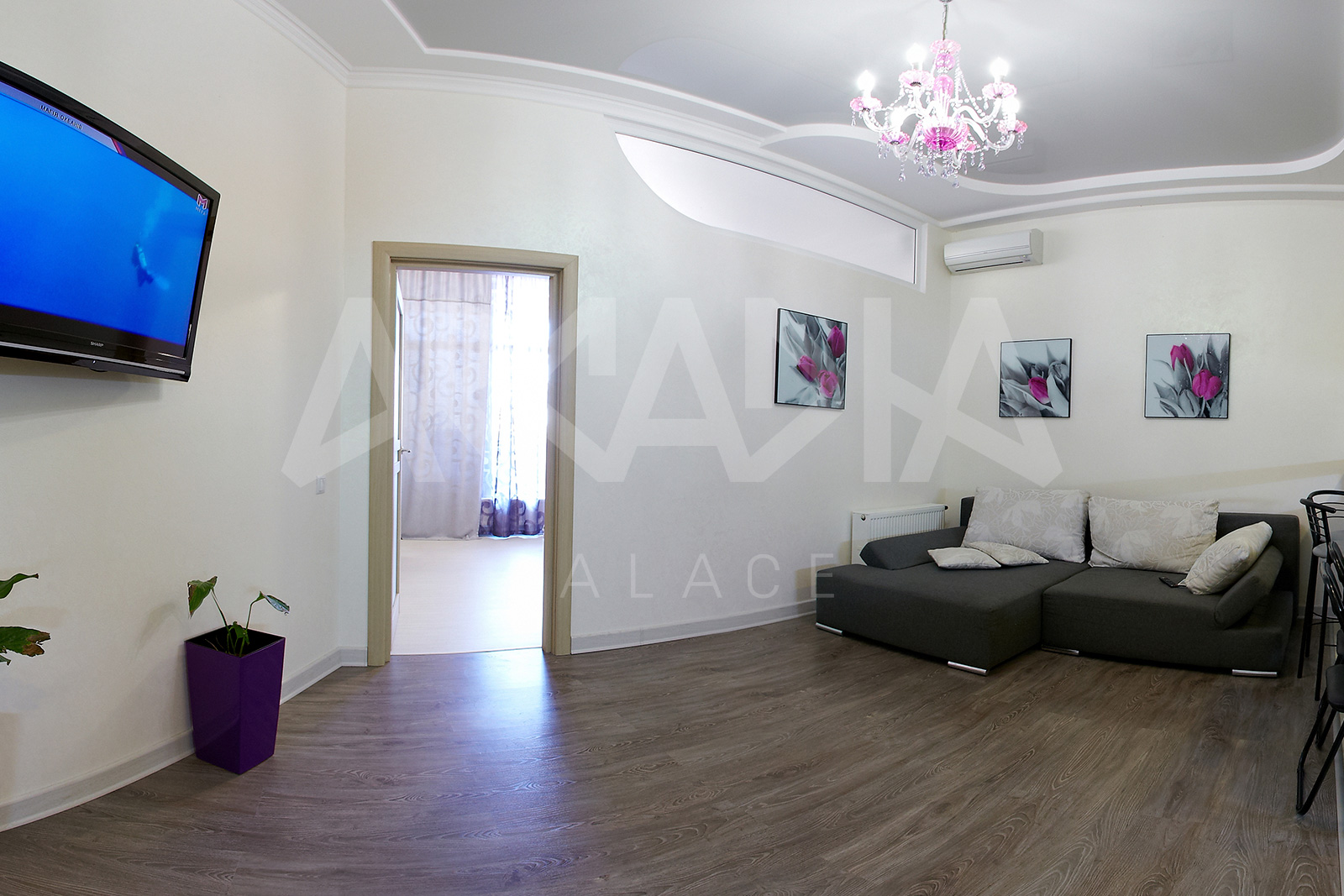 apartment dionysus